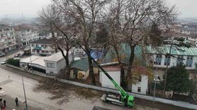 Düzce'de kış için ağaç budama çalışması