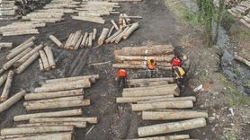 Düzce’den 22 bin 310,95 ton orman ürünü ihracatı arttı