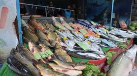 Elazığ'da soğuyan havalar balığa olan talebi artırdı