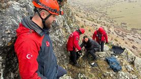 Erzincan'da Kayalıklarda Mahsur Kalan 10 Keçi JAK ve AFAD ile Kurtarıldı