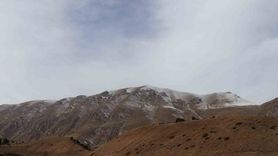 Erzurum'da yaban keçileri envantere alınıyor