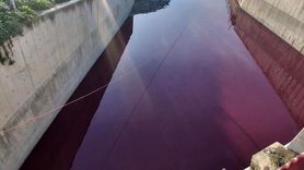 Esenyurt'ta Haramidere'nin suyu kırmızıya döndü