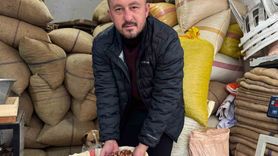 Giresun'da fındık fiyatları yılbaşına günler kala yükseldi