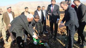 Güçlükonak’ta 4 bin ‘halhali’ zeytin fidanı çiftçilere dağıtıldı