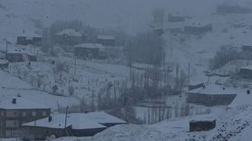 Hakkari'de 43 yerleşim yerinin yolu kar nedeniyle ulaşıma kapandı