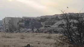 Harput'ta dağ keçileri sürü halinde görüntülendi