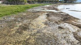 İznik Gölü kuruyor: Cargill’in yeraltı suyu kullanımı tartışma yarattı