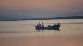 Karacabey'de çeltik ekimi yasaklandı