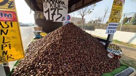 Kestane sezonu Süleymanpaşa sokaklarında: Kilosu 175 TL