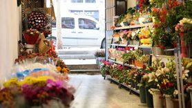 Kırşehir'de Aralıkta Kokina Tercihi