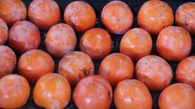 Kışın enerji veren lezzet: Cennet elması