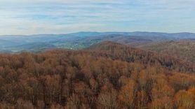 Kocaeli'nin Bilinmeyen Yüzü: Ormanlarda Hafta Sonu Kaçamağı