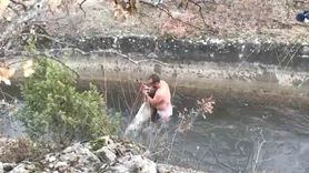 Kütahya Kayaköy'de su kanalına düşen karaca, tünele sürüklenmeden kurtarıldı