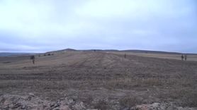 Libya'da Al-Haddad'ın içinde bulunduğu jetin düştüğü bölgede güvenlik önlemleri artırıldı