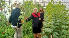 Lüleburgaz'da seracılık denetimi