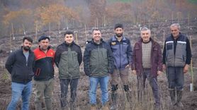 Manyas Çakırca'da orman köylüsüne yönelik badem ağaçlandırması