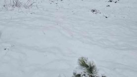 Muğla'da Göktepe Dağı'na mevsimin ilk karı yağdı