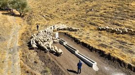Niğde'de Beyağıl meralarına yeni hayvan içme suyu alanları kazandırıldı