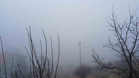 Posof'ta yoğun sis hayatı olumsuz etkiledi