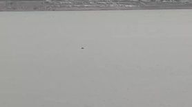 Sahibi Elinden Kaçan İnek Sıhke Göleti'nde Telef Oldu