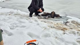 Sandras Dağı'nda yılın ilk karı ziyaretçi akınına yol açtı