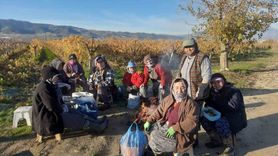 Sarıgöl’de bağ yenileme çalışmaları kadın istihdamını yükseltiyor
