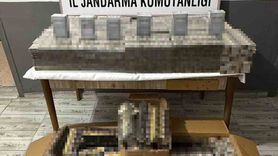 Şırnak’ta 34 aranan şahıs yakalandı