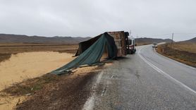 Sungurlu'da virajı alamayan tır devrildi, sürücü yaralandı