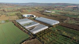 Tekirdağ’da üreticilere 70 futbol sahası büyüklüğünde sera naylonu dağıtımı