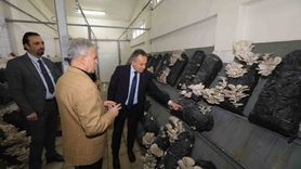 TOGÜ'de mantar üretimiyle uygulamalı eğitim güçleniyor