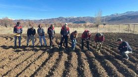 Tunceli’de 4 ilçede sarımsak ekimi gerçekleştirildi