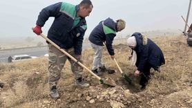Yahyalı’da bin 200 fidan dikildi