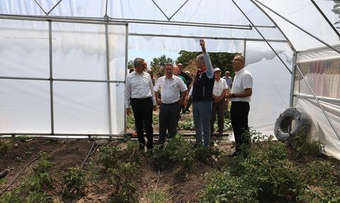 Edirne'de Sera Alanlarının Genişletilmesi İçin Hedef 500 Dekar