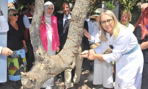 İzmir'de Damla Sakızı Üretimi Artıyor