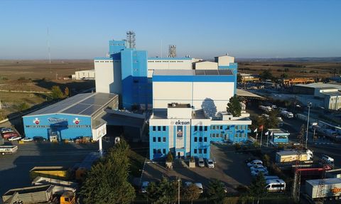 Eksun Gıda'nın 2024 İlk Yarısı İçin Finansal Raporu