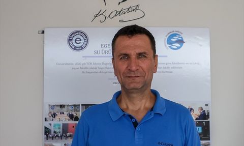 İzmir Körfezi'nde Oksijen Eksikliği Midyeleri de Yok Ediyor