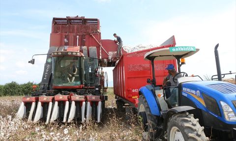 Kütlü Pamuk Alım Fiyatı Belli Oldu: 28 Lira