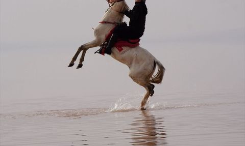 Kocaeli'de Atlı Dayanıklılık Şampiyonası Heyecanı