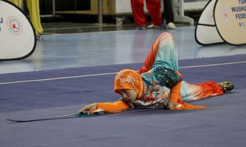 Akyüz Kardeşler, Wushu'da Yeni Hedefler Peşinde