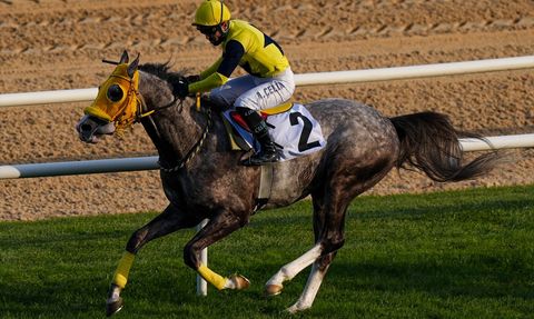 Ankara'da Cumhuriyet ve Cumhurbaşkanlığı Koşuları Gerçekleşti