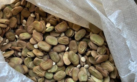 Gümrük Muhafaza Ekipleri Kaçakçılara Ağır Darbe Vurdu