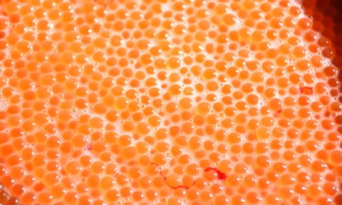 Afyonkarahisar'dan Avrupa'ya Alabalık İhracatı