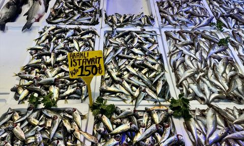 Trabzon'da Mezgit ve İstavrit Fiyatları