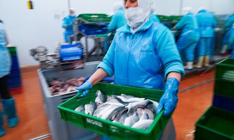 Türkiye Su Ürünleri İhracatını 2,5 Milyar Dolar Hedefliyor