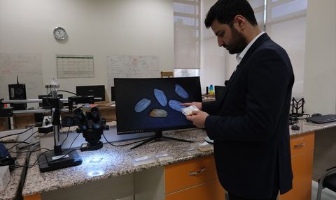 Yapay Zeka ile Pirinç Türleri Tespit Edildi