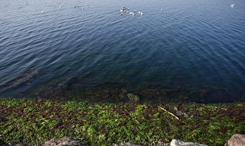 Ege Denizi'ndeki Deprem Fırtınası Uzmanlarca Değerlendirildi