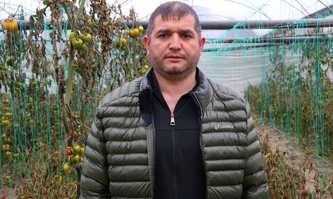 Hatay'da Zirai Don Tarım Alanlarını Vurdu