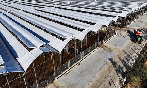 Kırmızı Et Üretimi İçin Yerli Destek Projesi