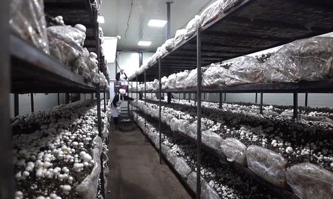 Nevşehir'in Turizm ve Kırsal Kalkınmasında TKDK'nın 1 Milyar TL'lik Desteği