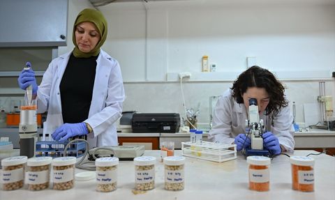 Nükleer Işınlama ile Gıda Güvenliği Artırılıyor